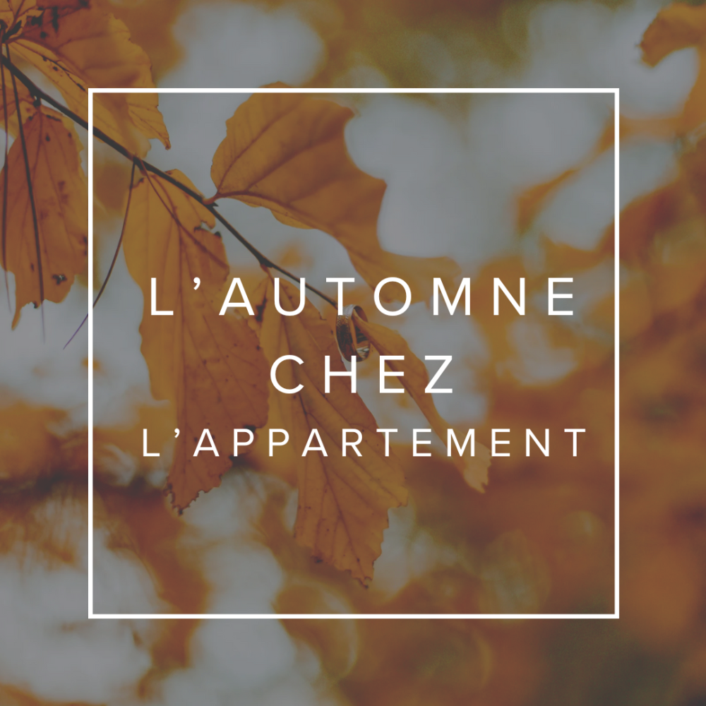 Que se passe t-il en automne à L'APPARTEMENT?